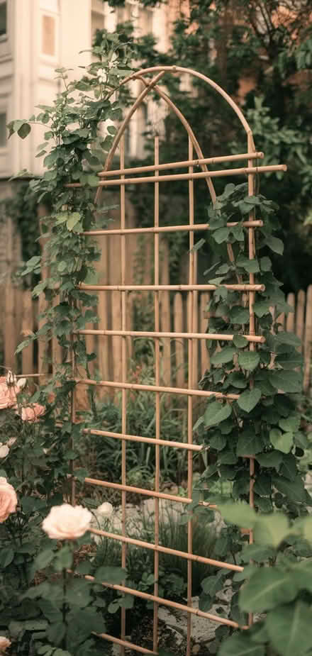 Photo of Garden Trellis- or similar (SK3 Stockport) #3