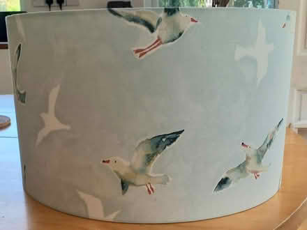 Photo of free Lampshade (Low Fell NE9) #1