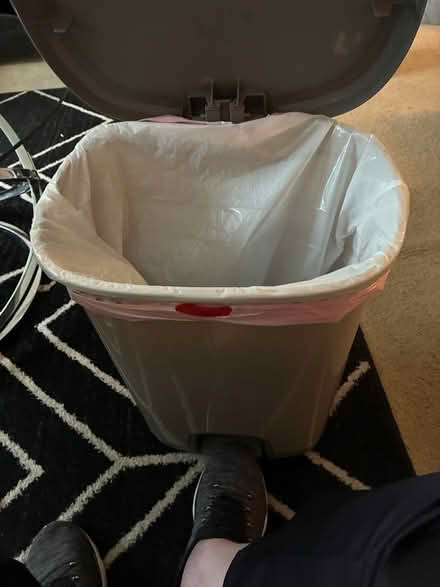 Photo of free step on trash can (Somerset, NJ, off DeMott Lane) #3