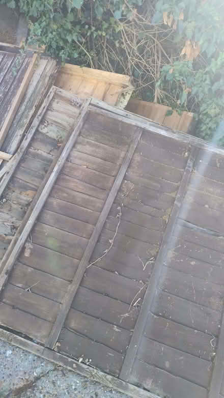 Photo of free Lots of wood (Thorpe Bay SS3) #2