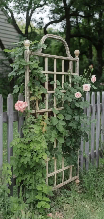 Photo of Garden Trellis- or similar (SK3 Stockport) #4