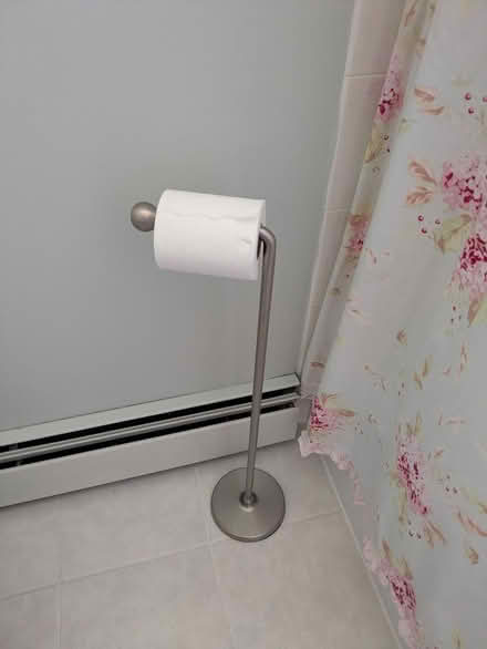 Photo of free Free Standing TP Holder (W. Hiawatha Trail, Mt Prospect) #1
