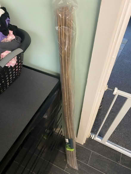 Photo of free Bamboo canes (S2 Sheffield) #2