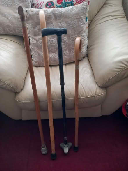 Photo of free Walking sticks (Leasowe CH46) #1
