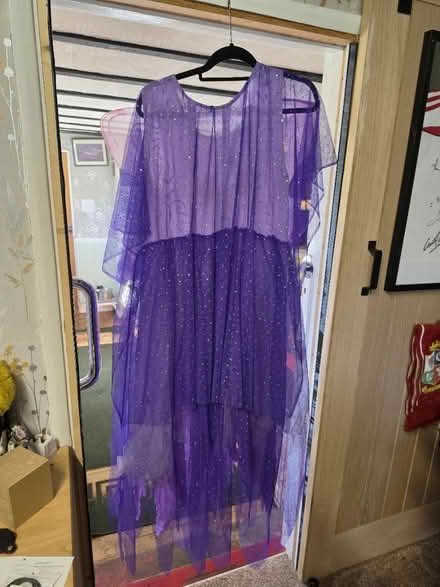 Photo of free Two adult fancy dress outfits (Tardebigge, B97) #1