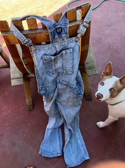 Photo of free Gap Overalls (San Jose/Campbell area) #1
