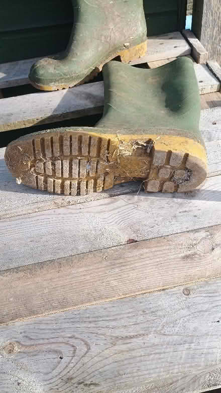 Photo of free Wellington Boots (Sharrow Vale S11) #2