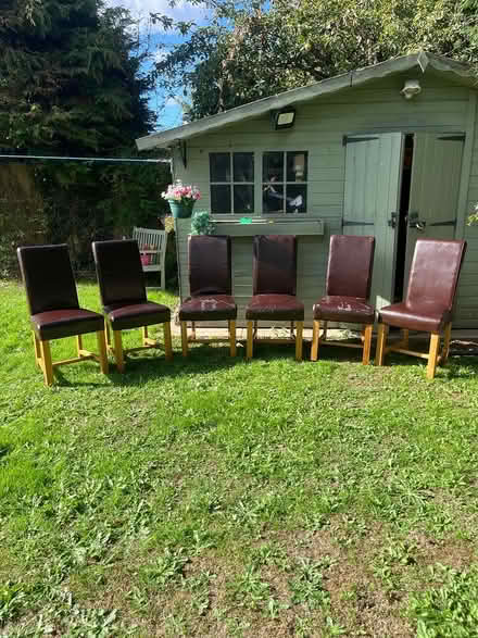 Photo of free 6 oak dining chairs (Blaby Leicestershire. LE8 4GY) #4