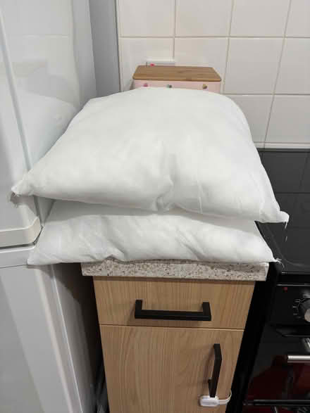 Photo of free Cushion inners 40x40cm (Thringstone LE67) #1