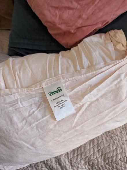 Photo of free Double fitted sheet & pillows (Slateford EH14) #1