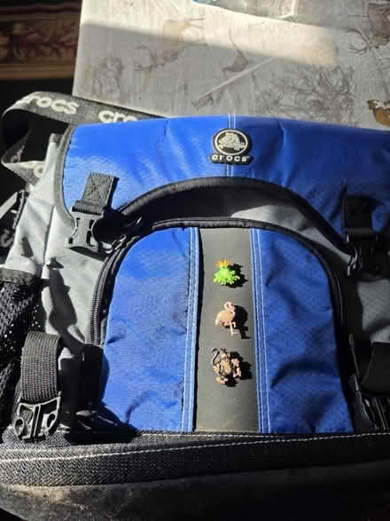 Photo of free Crics crossbody bag (Tardebigge, B97) #1