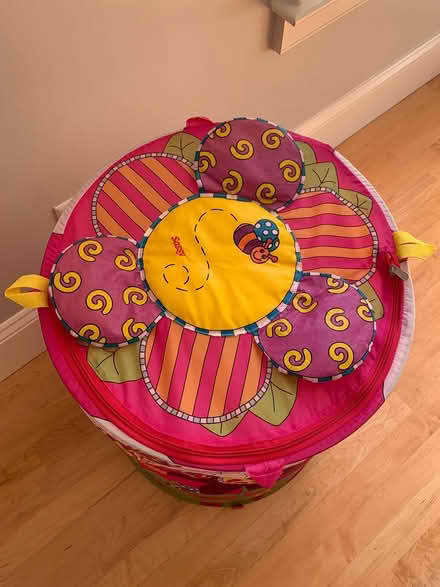 Photo of free Sassy Soft Sided Toy Organizer (Bolton, MA) #2