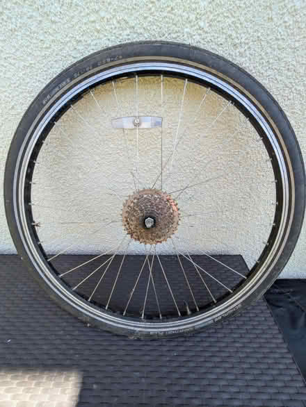 Photo of free 29" Shimano rear wheel (Greystones) #2