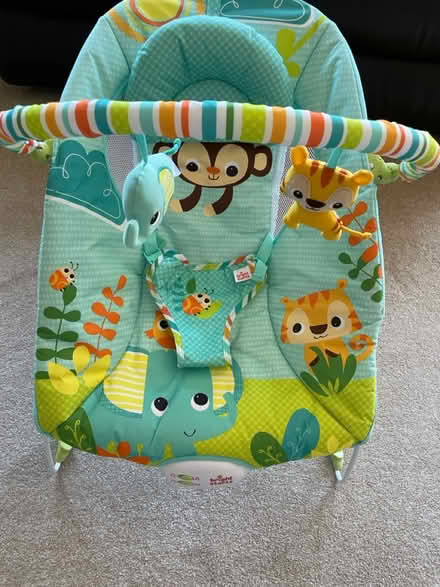 Photo of free Baby Bouncer (Oakley, Basingstoke RG23) #1