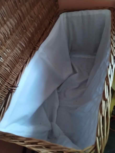 Photo of free large wicker trunk (St Leonards) #2