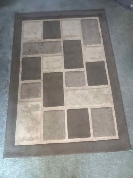 Photo of free Brown rug 195cm x 135cm (Chingford E4) #1