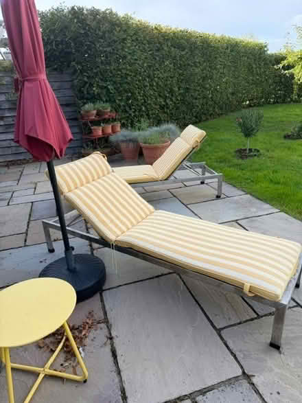 Photo of free Sunloungers (West Felton SY11) #1
