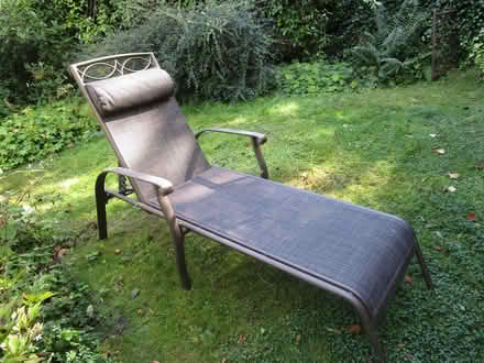 Photo of free Garden Relaxer (Staunton on Arrow LD8) #1