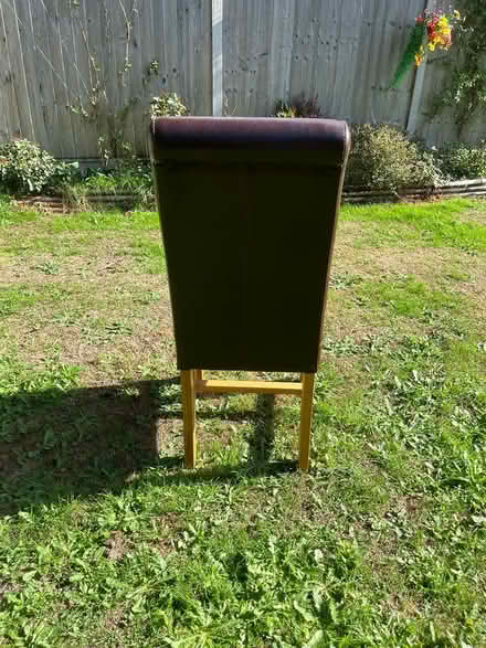 Photo of free 6 oak dining chairs (Blaby Leicestershire. LE8 4GY) #1