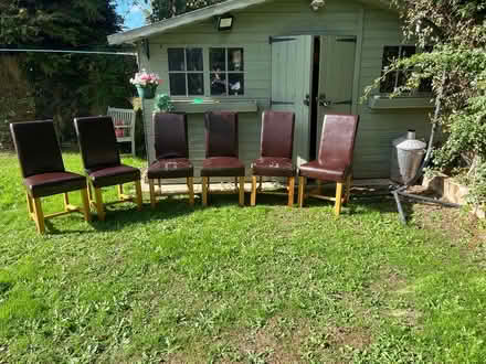 Photo of free 6 oak dining chairs (Blaby Leicestershire. LE8 4GY) #3