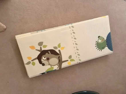 Photo of free Baby mat 2m x 1.8m (Send) #1