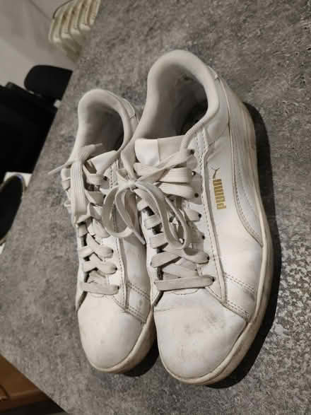 Photo of free White puma trainers size 39 (Hendon NW41DG) #2