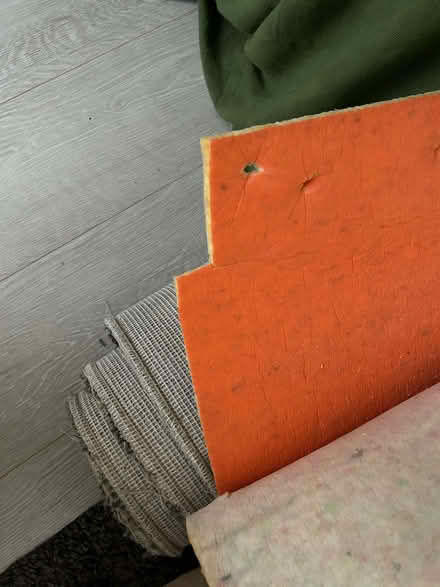 Photo of free hall carpet and underlay. (Twickenham TW2) #1