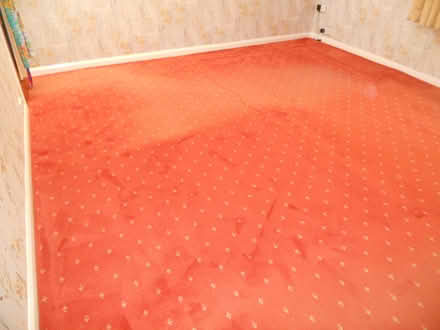 Photo of free Used Carpet (Morpeth Town NE61) #1