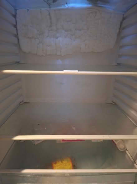 Photo of free Tall Used Logik Fridge and Freezer (GL50 Saint paul near LIDL) #4
