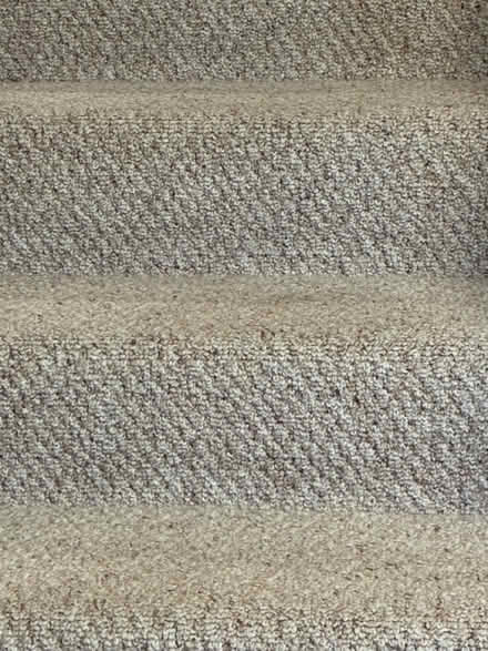 Photo of free Carpeting (Westmont il) #3