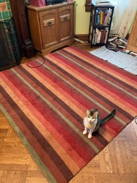 Photo of free 6-ft sq. woolen rug, striped (Petworth/ Park View) #1