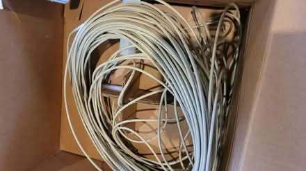 Photo of free Telephone wire (Lawrence and Vic Park) #2