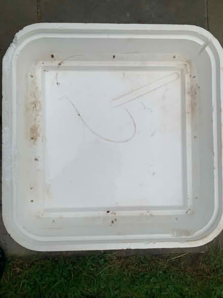 Photo of free Hova- Incubator (Mahopac) #4