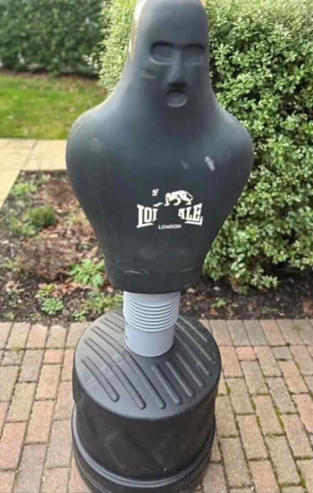 Photo of free Boxing Spar Partner (Emmbrook RG41) #1