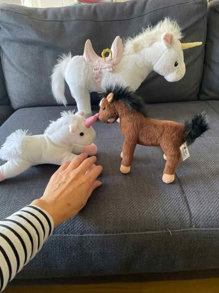 Photo of free 3 plush toys (North Road BA2) #2