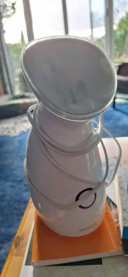 Photo of free Facial steamer (South Green CM11) #1