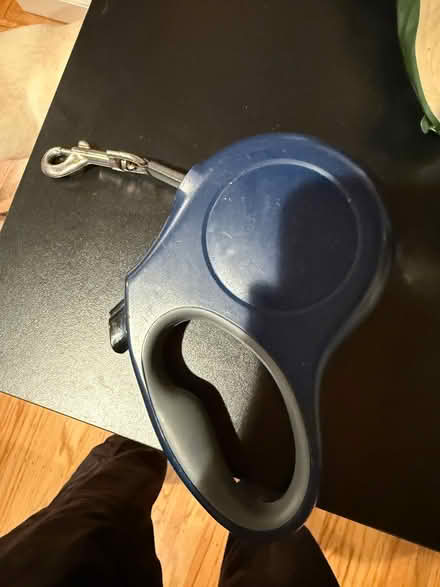 Photo of free Leash (Willow Glen/San Jose) #1