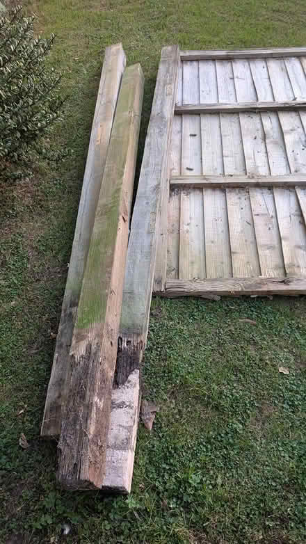 Photo of free 3x 2.1M (8') fence posts (Stroud) #1