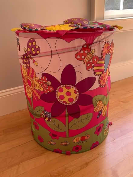 Photo of free Sassy Soft Sided Toy Organizer (Bolton, MA) #1