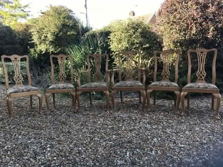 Photo of free Dining Chairs (Upton End Road SG5) #1