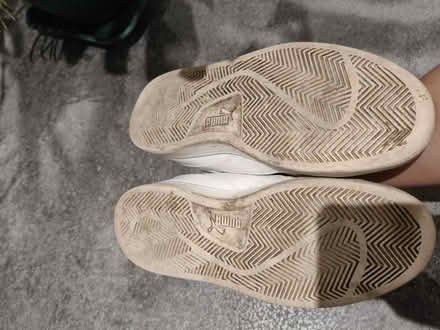 Photo of free White puma trainers size 39 (Hendon NW41DG) #3