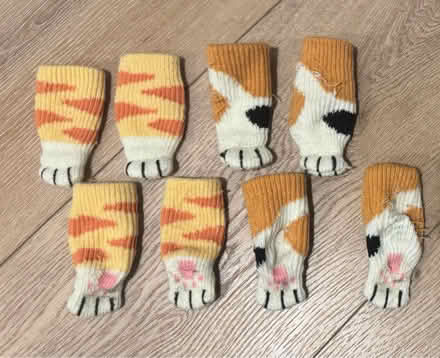 Photo of free Cat Chair Socks (Astoria) #1