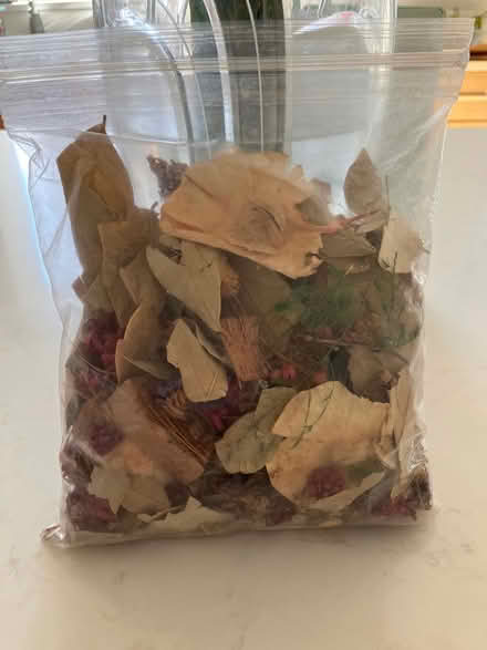 Photo of free Potpourri (Southwest Ann Arbor) #1