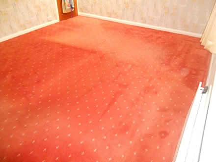 Photo of free Used Carpet (Morpeth Town NE61) #2