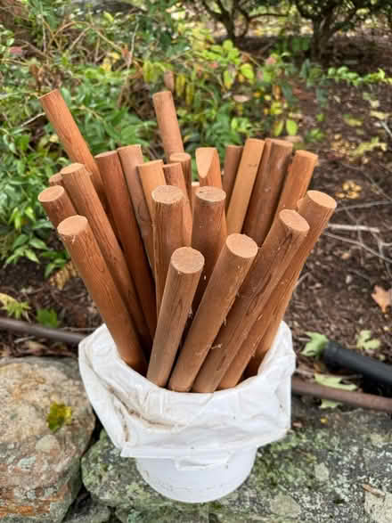 Photo of free 26 dowels 1” dis x 19” long (East Quarter of Concord, MA) #1