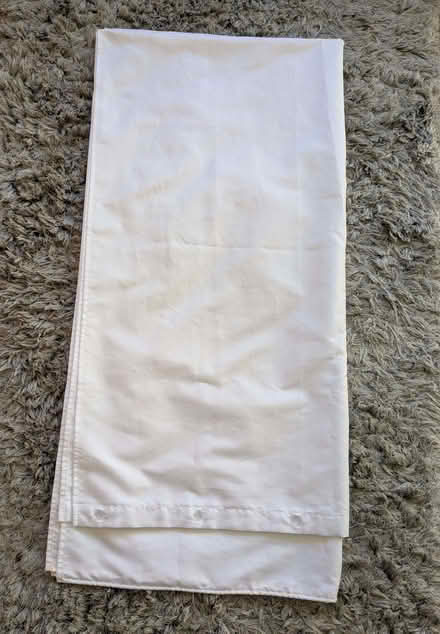 Photo of free White Shower Curtain and Clips (Beulah Hill SE19) #1