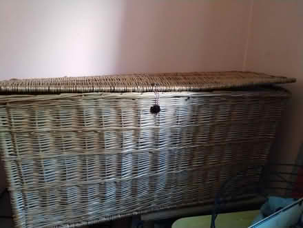 Photo of free large wicker trunk (St Leonards) #3