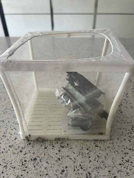 Photo of free Nursery tank for aquarium. (Swindon SN3) #1