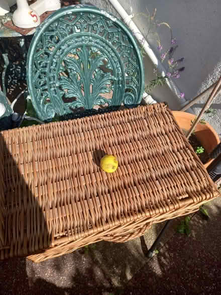 Photo of free Large hamper basket (Roundhill area brighton BN2) #2