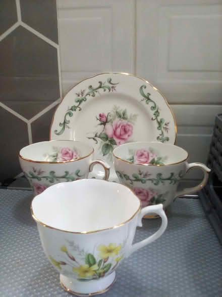 Photo of free Posh cat dishes / candle holders (Shipley BD18) #3